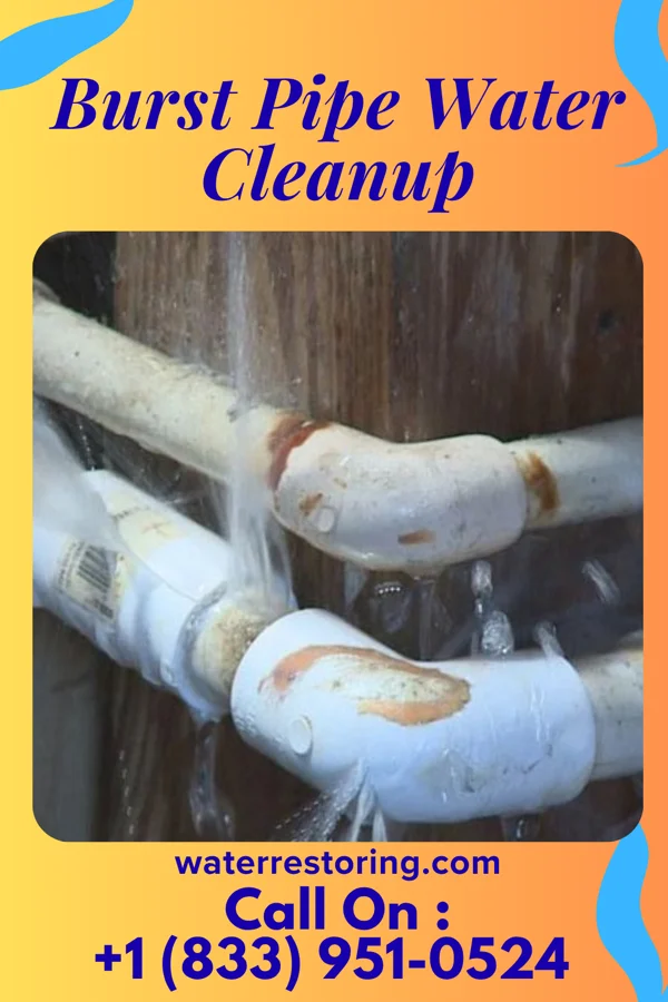 Burst Pipe Water Cleanup in Big Run, PA
