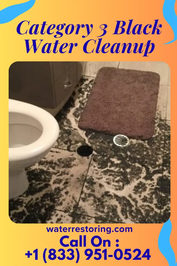 Category 3 Black Water Cleanup in Big Run, PA