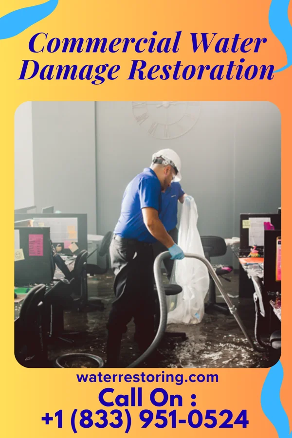 Commercial Water Damage Restoration in Big Run, PA