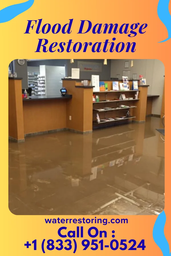 Flood Damage Restoration in Big Run, PA