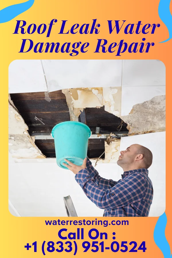 Roof Leak Water Damage Repair in Big Run, PA