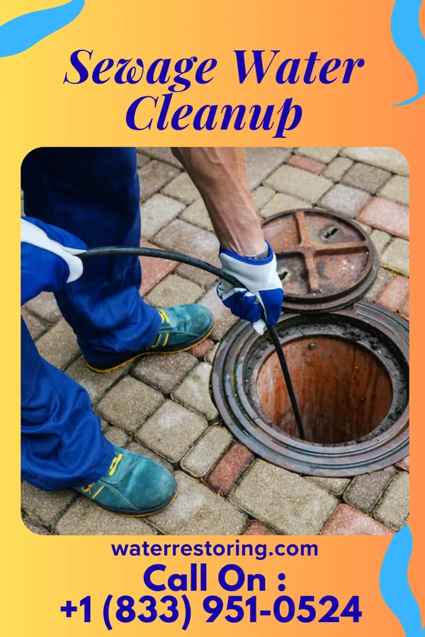 Sewage Water Cleanup in Big Run, PA